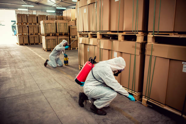Best Pest Prevention Services  in Rockland, ME
