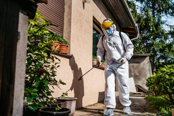 Best Bed Bug Extermination  in Rockland, ME