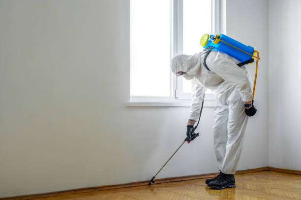 Pest Prevention Services in Rockland, ME