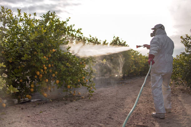 Pest Control for Restaurants in Rockland, ME