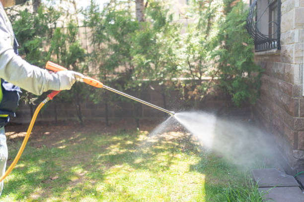 Bird Control in Rockland, ME