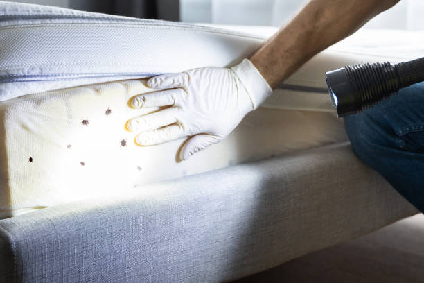 Best Residential Pest Control  in Rockland, ME