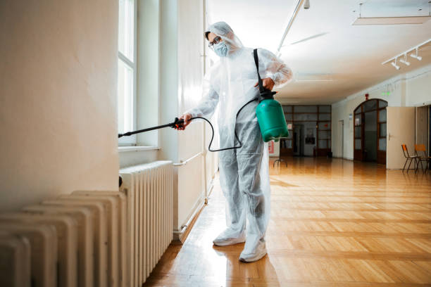 Trusted Rockland, ME Pest Control Experts