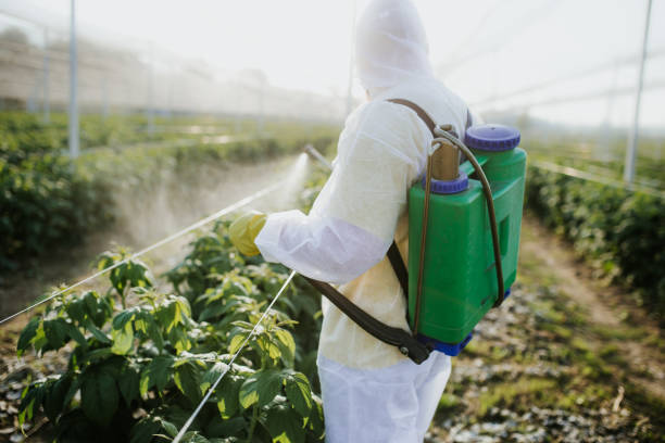 Best Best Pest Control Near Me  in Rockland, ME